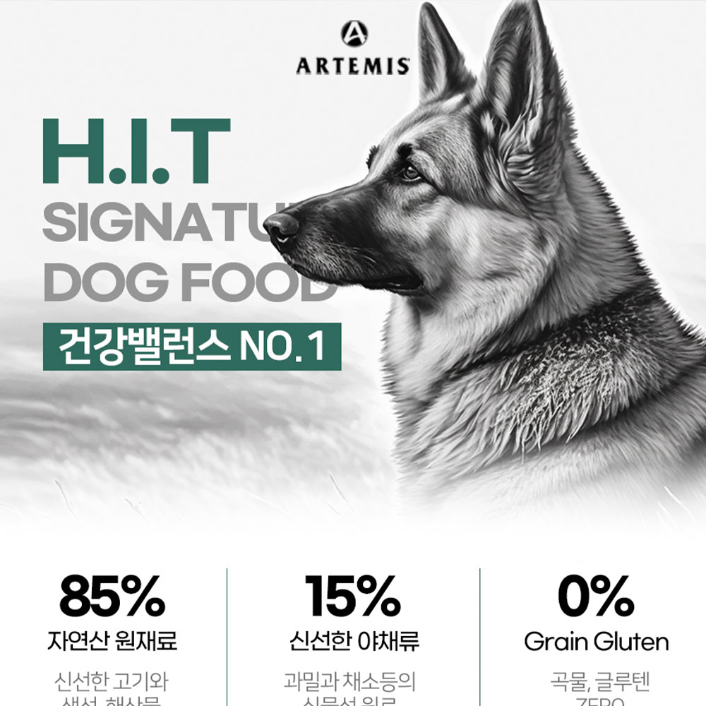 아르테미스